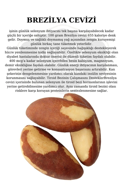 SELKUR  Brezilya Cevizi 250gr Yeni Bütün Tane(KİLİTLİ AMBALAJ, ÇİĞ,TUZSUZ) - Resim 4