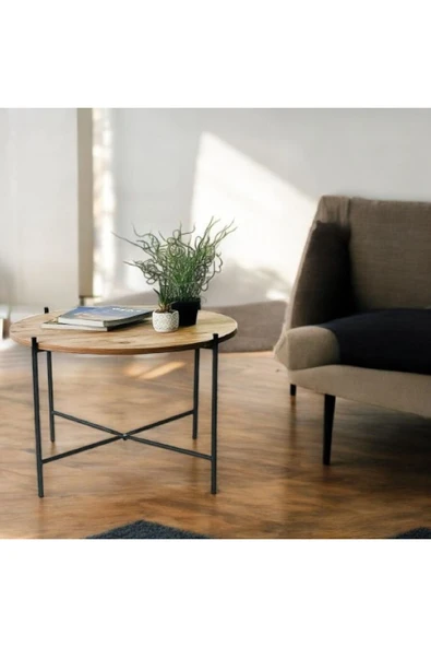 EVA İTHALAT eva orta sehpa kahve sunum - Resim 3