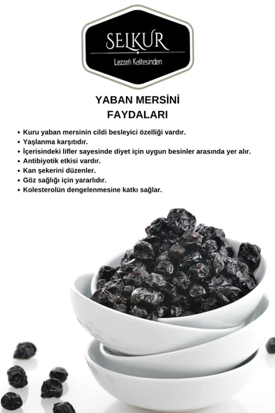 SELKUR  Yaban Mersini 500gr(BLUEBERRY) 1.kalite - 4