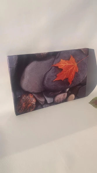 Taş Üzerinde Yaprak Natürel Tasarım Ahşap Çerçeve Ev İşyeri Ofis Duvar Kanvas Tablo DOĞA4 - 7