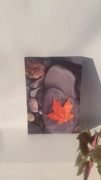 Taş Üzerinde Yaprak Natürel Tasarım Ahşap Çerçeve Ev İşyeri Ofis Duvar Kanvas Tablo DOĞA4