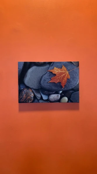 Taş Üzerinde Yaprak Natürel Tasarım Ahşap Çerçeve Ev İşyeri Ofis Duvar Kanvas Tablo DOĞA4 - 2