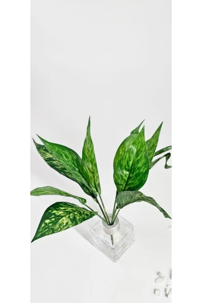 Yeşil Kılıç Çiçeği 27 Cm Ev Dekor Vazo Süsü ürün görseli