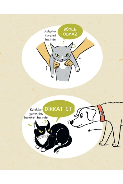 nesnel yayınlar Kedi Dili - Kedinizi Anlayabilmeniz için Resimli Bir Rehber - Kartpostal - Aşı ve İlaç Kartı - Ayraç - Resim 7