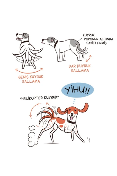 nesnel yayınlar Köpek Dili - Bir Köpekseverin En İyi Dostunu Anlama Rehberi - Ayraç - Kartpostal - Aşı Takip Kartı - Resim 3