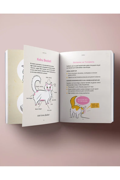 nesnel yayınlar Kedi Dili - Kedinizi Anlayabilmeniz için Resimli Bir Rehber - Kartpostal - Aşı ve İlaç Kartı - Ayraç - Resim 3