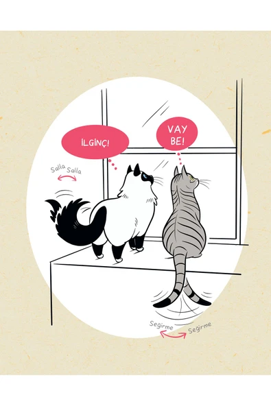 nesnel yayınlar Kedi Dili - Kedinizi Anlayabilmeniz için Resimli Bir Rehber - Kartpostal - Aşı ve İlaç Kartı - Ayraç - Resim 6