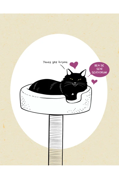 nesnel yayınlar Kedi Dili - Kedinizi Anlayabilmeniz için Resimli Bir Rehber - Kartpostal - Aşı ve İlaç Kartı - Ayraç - Resim 8