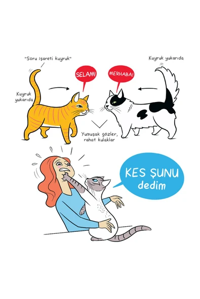nesnel yayınlar Kedi Dili ve Köpek Dili - Kartpostal - Ayraç - Aşı Takip Kartı - İkili Set - Lili Chin - 5