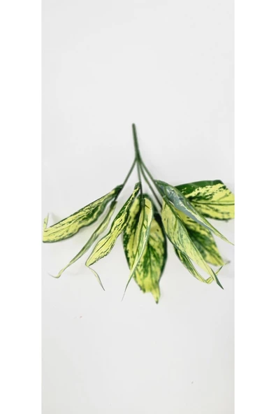 Kılıç Çiçeği Sarılı 6 Dallı 25 Cm Ev Dekor Saksı Süsü - Resim 2