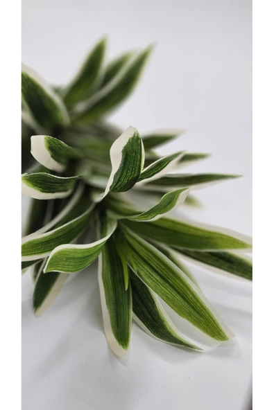 Çizgili Kılıç 90 Cm Çiçeği Ev Dekor Saksı Süsü ürün görseli