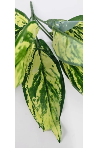 Kılıç Çiçeği Sarılı 6 Dallı 25 Cm Ev Dekor Saksı Süsü - Resim 3