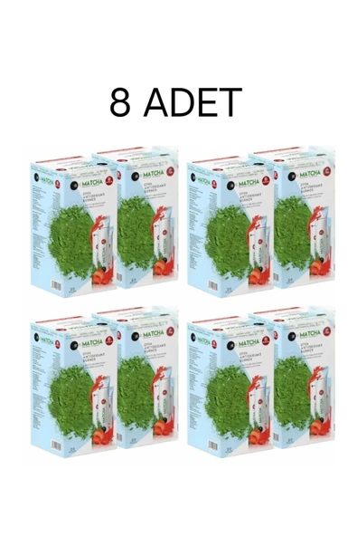 Bilge İlaç Matcha Premium Japanese Premium Japanese Çilek Aromalı Burner Form Matcha Çayı 8 Kutu
