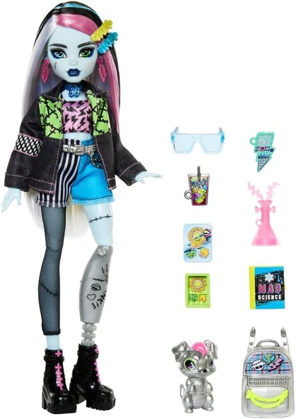 Monster High Ana Karakter Bebekler Frankie Stein HPD53 HXH73 - Resim 4