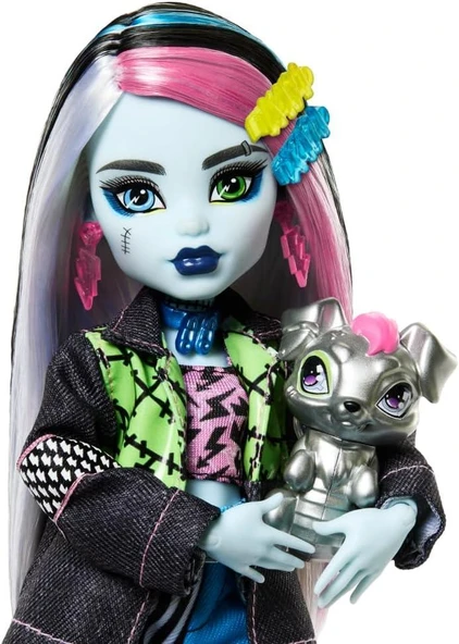 Monster High Ana Karakter Bebekler Frankie Stein HPD53 HXH73 - Resim 3