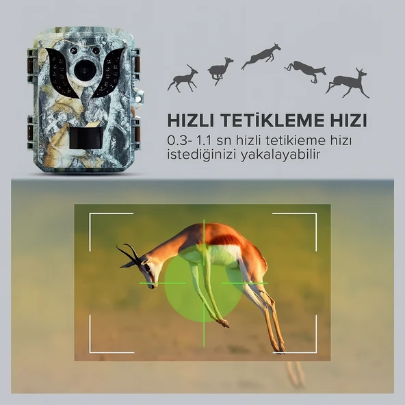 QASUL Mini Avcılık Kamera 16MP 1080 P HD Yaban Hayatı Açık Hareket Aktif Tetik İzcilik Fotoğraf Tuzakları - 2