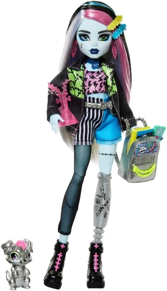 Monster High Ana Karakter Bebekler Frankie Stein HPD53 HXH73 - Resim 2