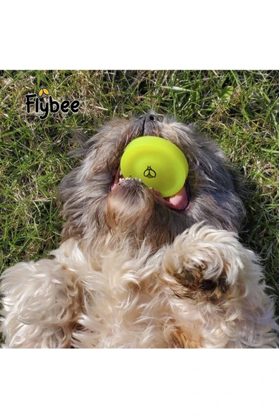 Flybee ZipChip Cep Boy Mini Frizbi At Tut Yakala İç ve Dış Mekan Outdoor Yumuşak Kauçuk Malzeme - 2