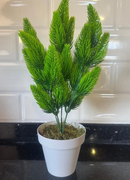 Nettenevime Yapay Çiçek Krem Saksıda Yeşil Kozalaklı Çam Demeti - Resim 2