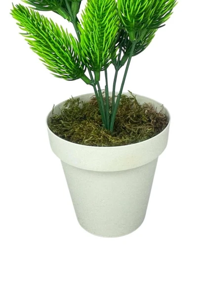Nettenevime Yapay Çiçek Krem Saksıda Yeşil Kozalaklı Çam Demeti - Resim 4