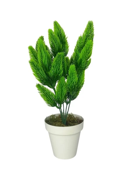 Nettenevime Yapay Çiçek Krem Saksıda Yeşil Kozalaklı Çam Demeti ürün görseli