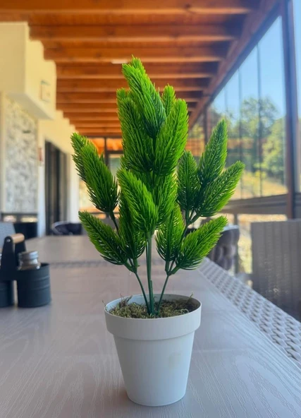 Nettenevime Yapay Çiçek Krem Saksıda Yeşil Kozalaklı Çam Demeti - Resim 3