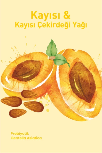 TTO THERMAL KİL MASKESİ  Kayısı & Kayısı Çekirdeği Yağı - Resim 2