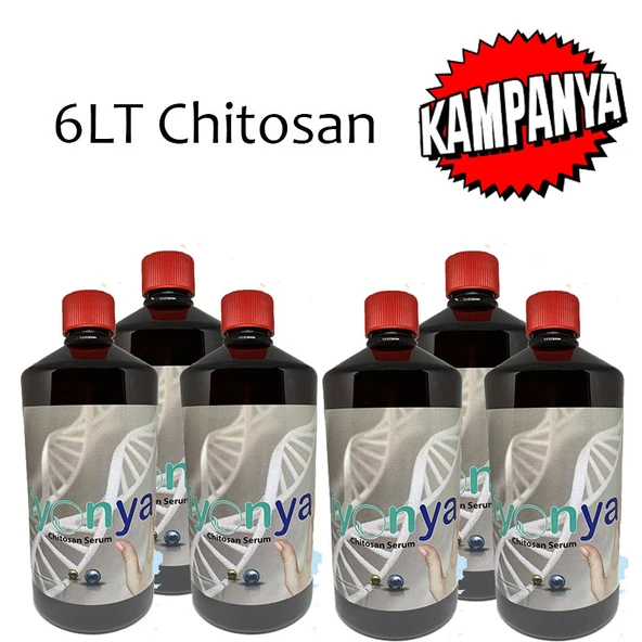 6LT Kitosan - 1