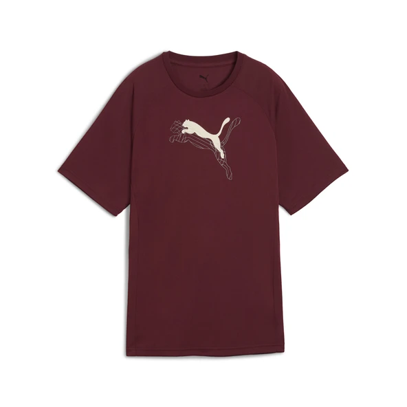 Puma 688139 96 Evostripe Graphic Tee Kadın Günlük T-Shirt - 4