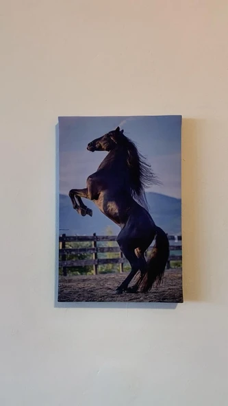 Şaha Kalkmış At Natürel Tasarım Ahşap Çerçeve Ev İşyeri Ofis Duvar Kanvas Tablo ANML1 - 5