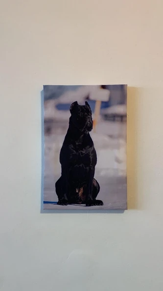 Siyah Erkek Doberman Natürel Tasarım Ahşap Çerçeve Ev İşyeri Ofis Duvar Kanvas Tablo ANML2