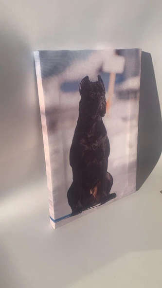 Siyah Erkek Doberman Natürel Tasarım Ahşap Çerçeve Ev İşyeri Ofis Duvar Kanvas Tablo ANML2 - 7