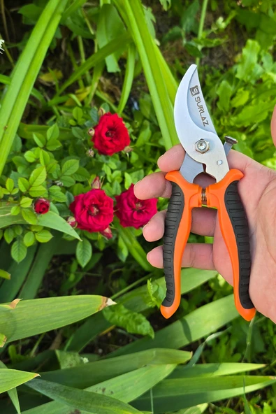 El Tipi Budama Makası Bitki ve Dal Kesimi için Güvenli Bahçe Makası Kolay Temizlenebilir ve Hafif Yapı - 5