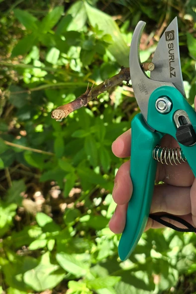 Profesyonel Budama Makası 19 cm Paslanmaz Çelik Bıçaklı Bahçe Makası Ergonomik Kaymaz Saplı Çiçek, Bitki ve Dal Budama için Uygun - 5