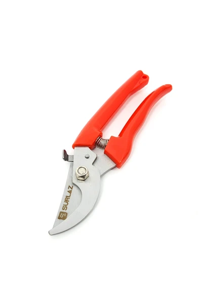 Hafif Budama Makası Yüksek Hassasiyetli Paslanmaz Çelik Bıçak Bahçe, Saksı ve Meyve Fidanı Budama için Pratik El Makası - 2