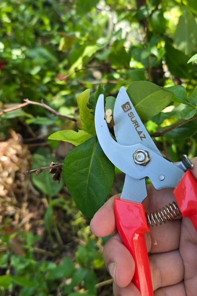 SürLaz Profesyonel Budama Makası, Ergonomik Kaymaz Saplı, Yeşil, Bahçe Bitki ve Dal Kesimi için - 7