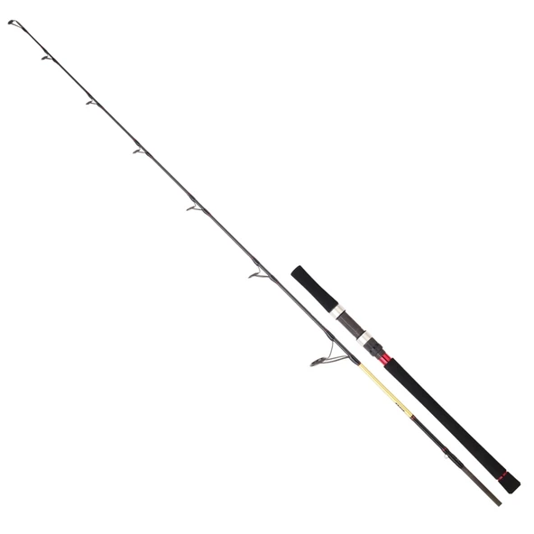 Daiwa Grandwave 168 cm 100-300 gr Jig Kamış ürün görseli 1