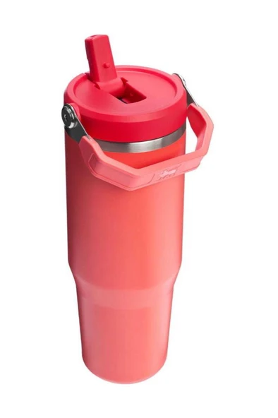 Stanley The IceFlow™ Flip Straw 2.0 Tumbler 0.89L / 30oz - Resim 2