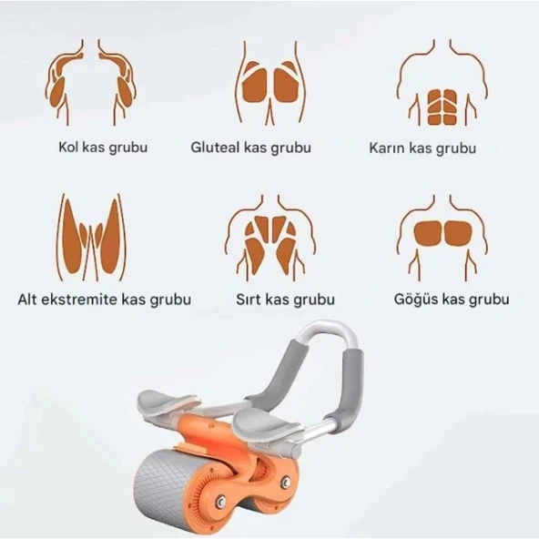 AB Roller Karın Kası Egzersiz Tekerleği - 3