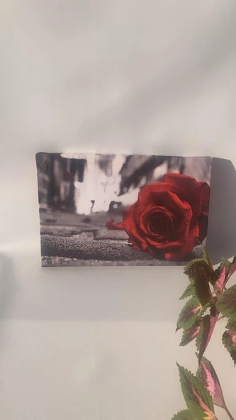 Sokakta Kırmızı Gül Natürel Tasarım Ahşap Çerçeve Ev İşyeri Ofis Duvar Kanvas Tablo SBK3 - 3