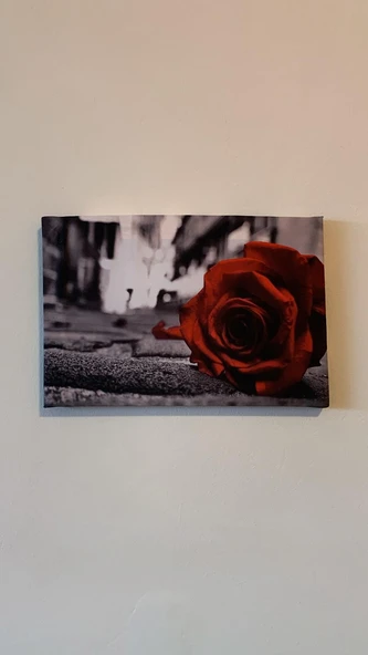 Sokakta Kırmızı Gül Natürel Tasarım Ahşap Çerçeve Ev İşyeri Ofis Duvar Kanvas Tablo SBK3 - 5