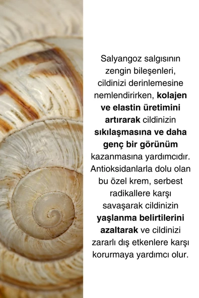 Salyangoz Kremi (Snail Cream) - Hyaluronic acid, Collagen Tıp I & Tıp III, Panthenol ve Niacinamide - 3