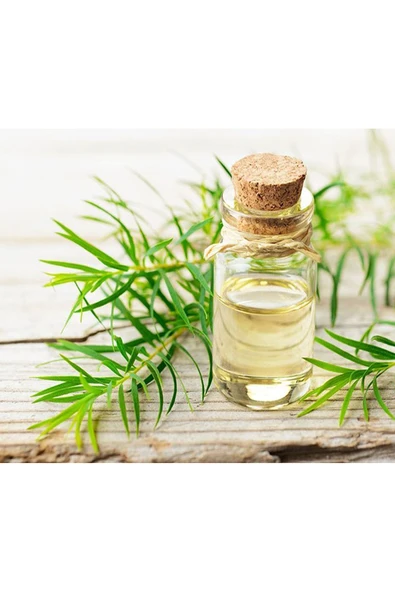 Çay Ağacı Hint Defnesi Yağı Saf Katkısız Orjinal 20 ml - 2