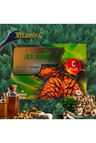 Aftamin Kozalak Propolisli Pastil 24 Adet - 1