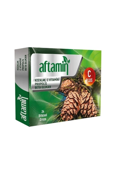 Aftamin Kozalak Propolisli Pastil 24 Adet - 2