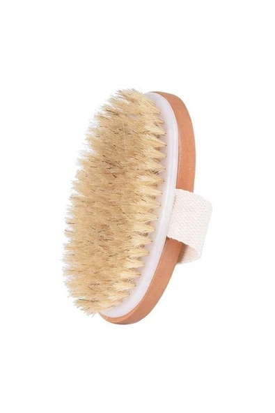 At Kılı Fırçası