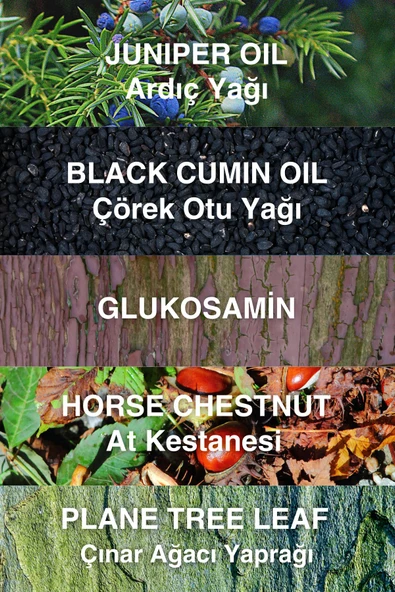 Çörek Otu Yağı Masaj Kremi 100ml - 2