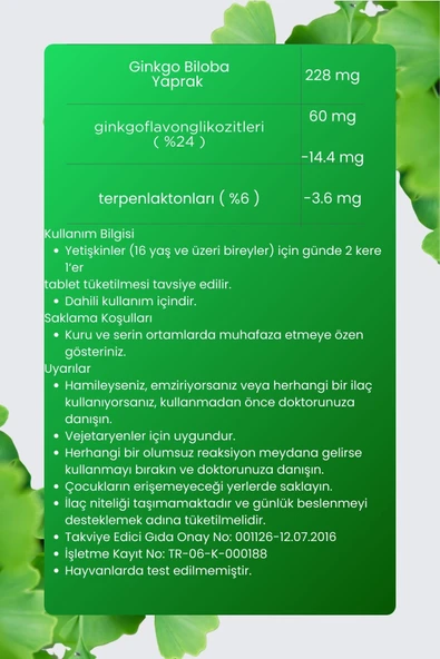 Ginkgo Biloba 600 Mg 60 Tablet Gingko Ginkgo Ginko Biloba Tableti - 3