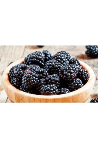 Kara Dut Pekmezi 800 gr - 3