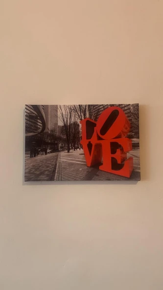 Cadde'de Kırmızıyla Yazılı Love Natürel Tasarım Ahşap Çerçeve Ev İşyeri Ofis Duvar Kanvas Tablo SBK4 - Resim 5